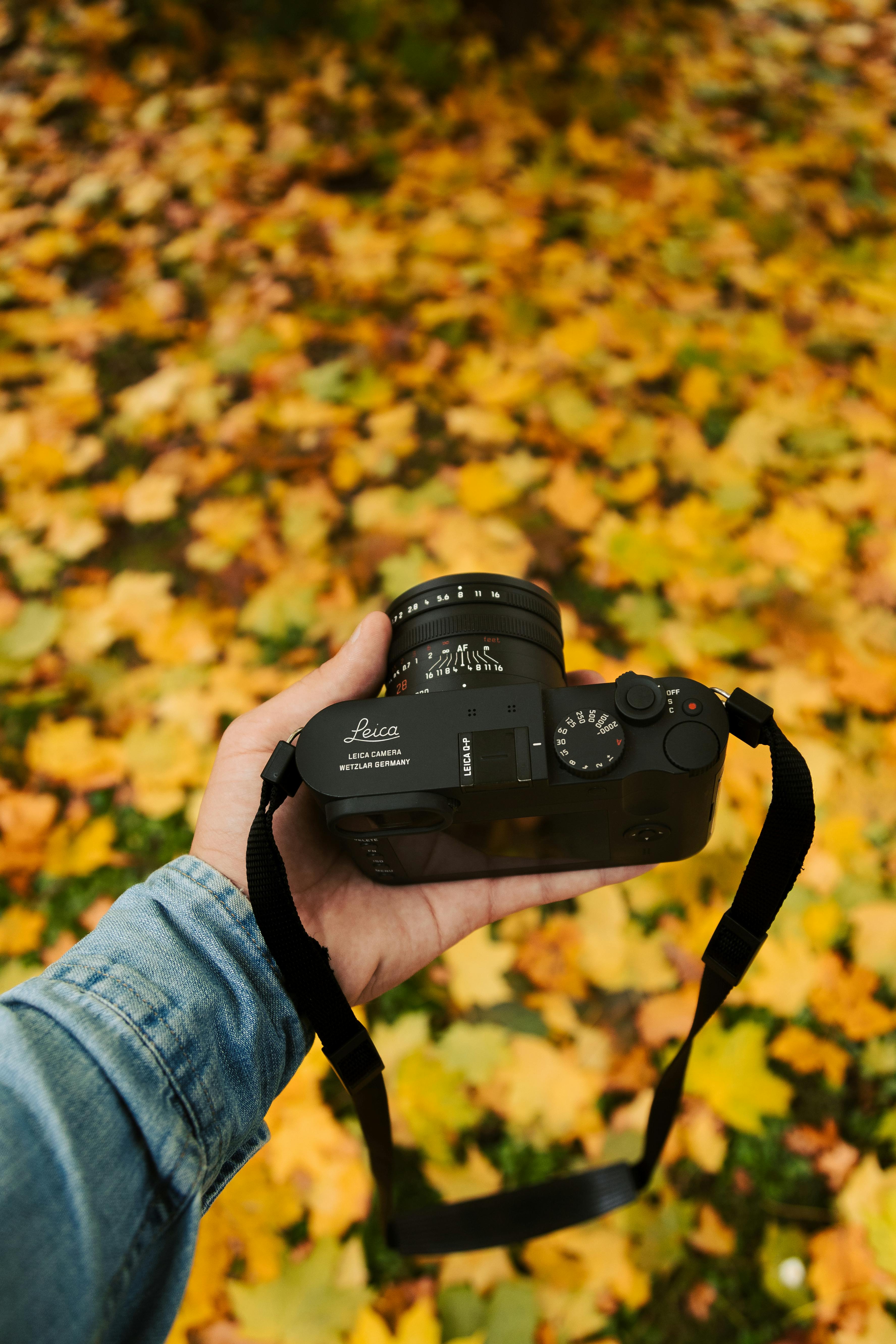 Photographer holding a camera against a backdrop of autumn leaves.