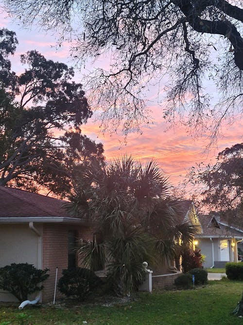 Photos gratuites de colline de printemps, coucher de soleil, floride