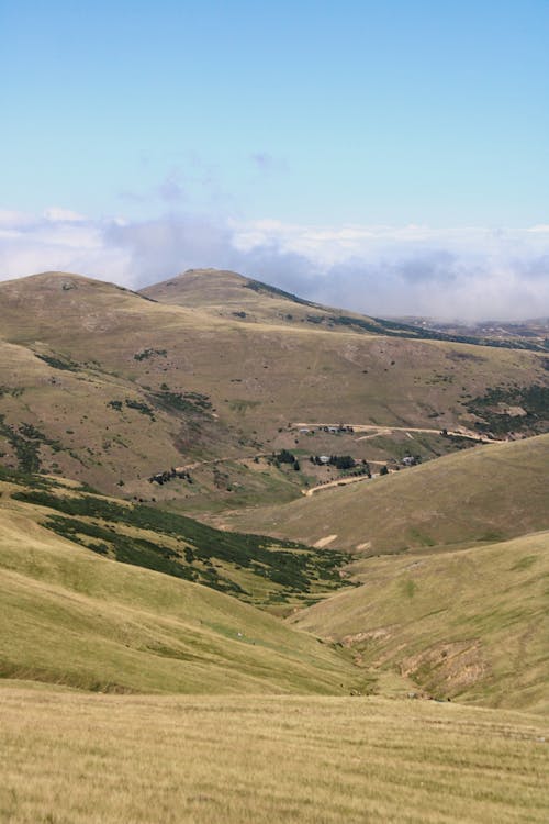 Kostenloses Stock Foto zu außerorts, berge, gras