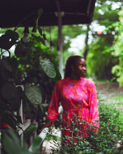 Foto profissional grátis de anunciar, belas mulheres negras, jardim de flores