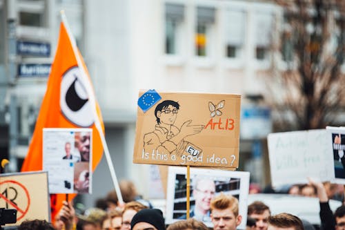 Fotos de stock gratuitas de acción, activista, acto electoral