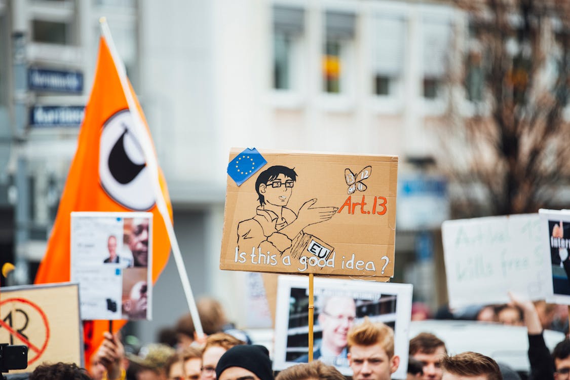 Free stock photo of action, activist, adult