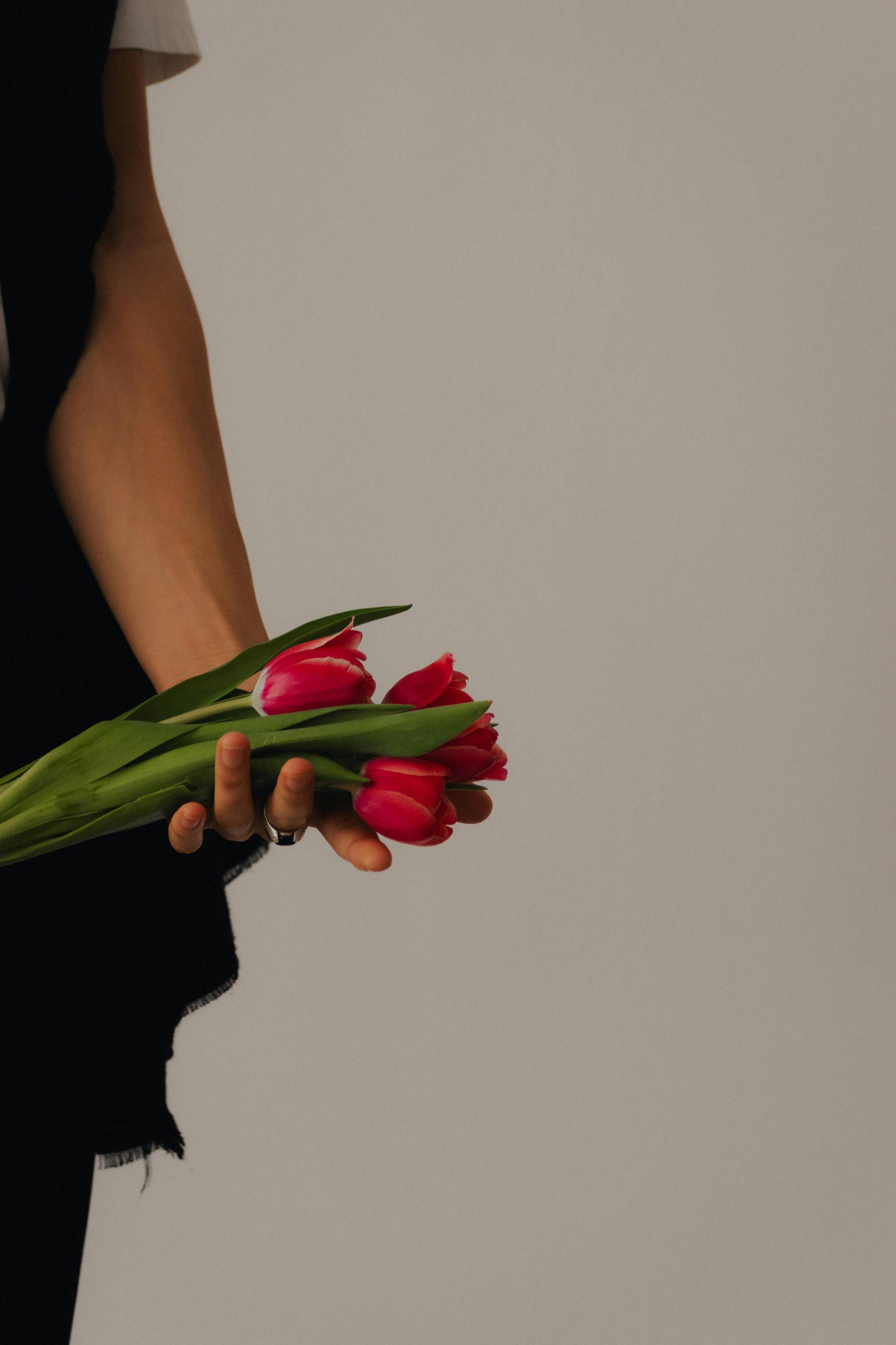 Close-up of a person holding a delicate bouquet of pink tulips against a neutral background.