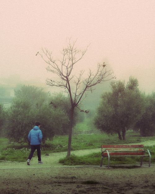 Free A person walking through a misty park surrounded by benches and trees. Stock Photo