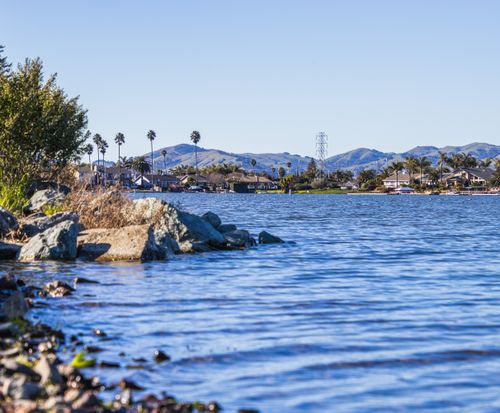 Free Serene lake scene with palm trees and rocky shoreline, perfect for nature lovers. Stock Photo
