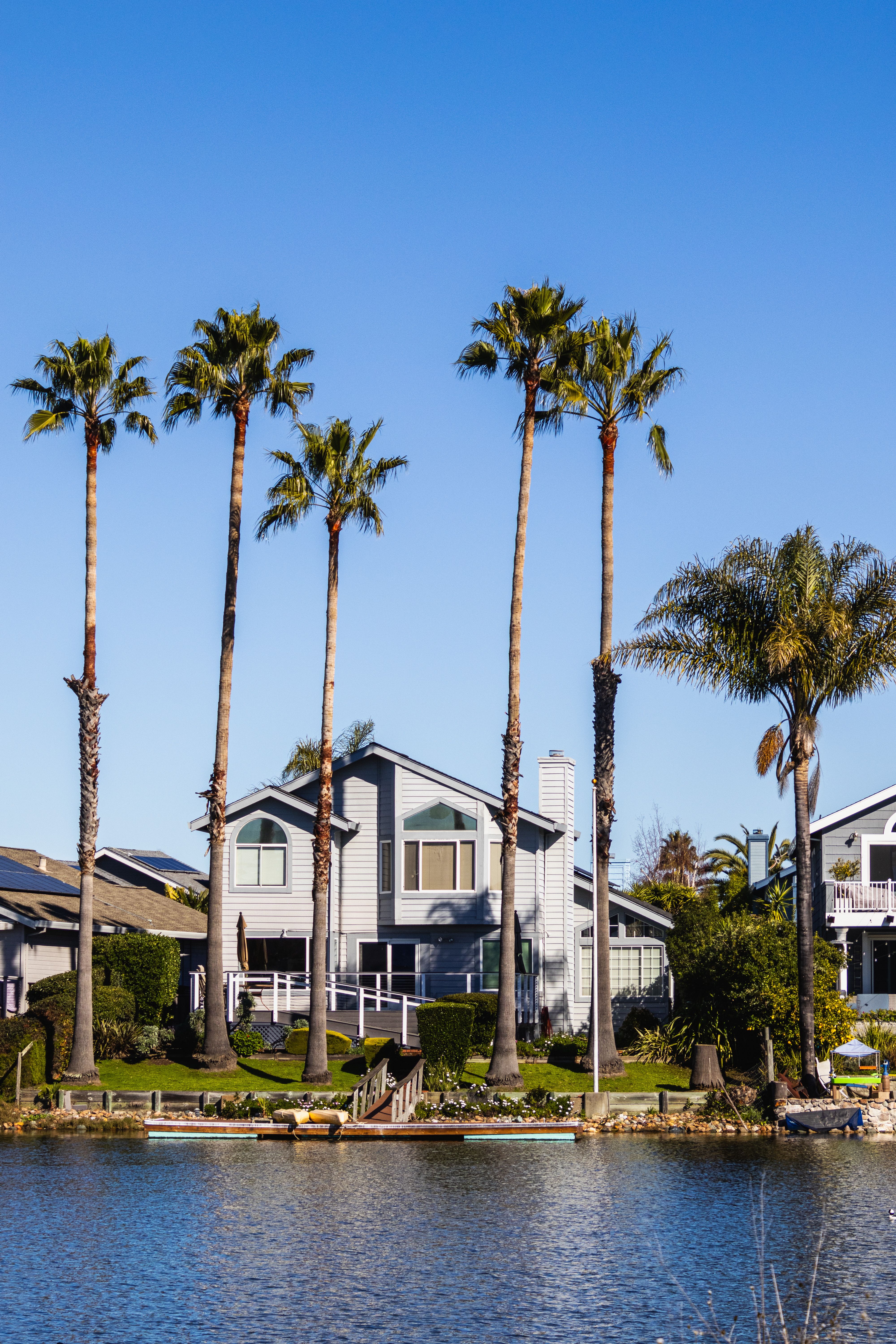 Charming homes by the water with tall palm trees under a clear blue sky.