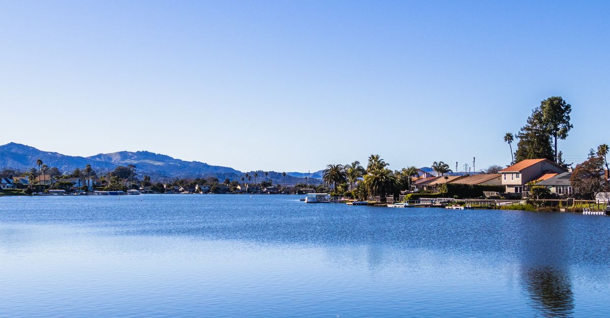 Picturesque lakeside view with clear blue sky, palm trees, and distant mountains.