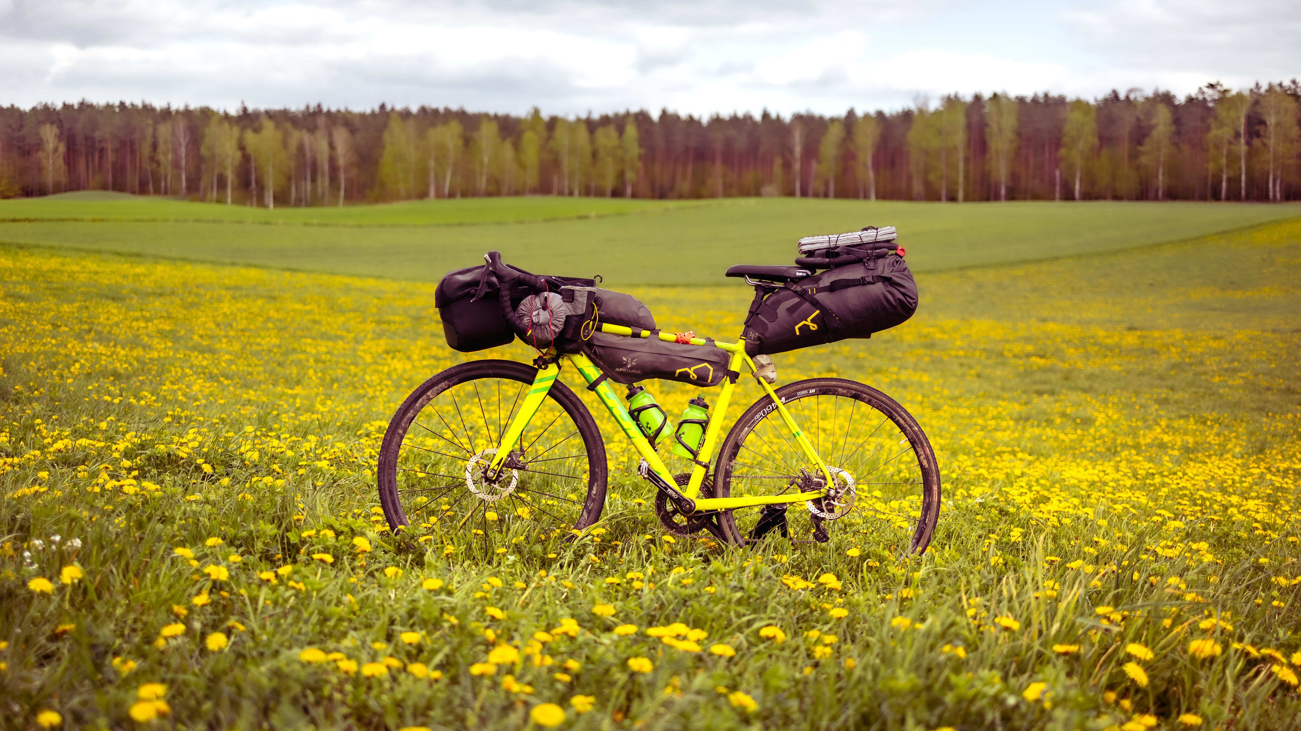 Assos + Db Bike Travel Bag Collab is a 3-Piece Cyclist-Specific Luggage Set — Photo by Marek Piwnicki on Pexels