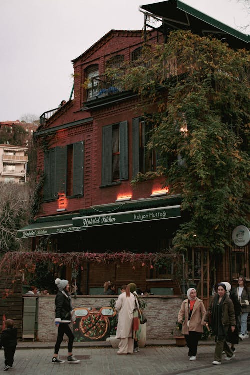 Building Covered with Ivy by the Street