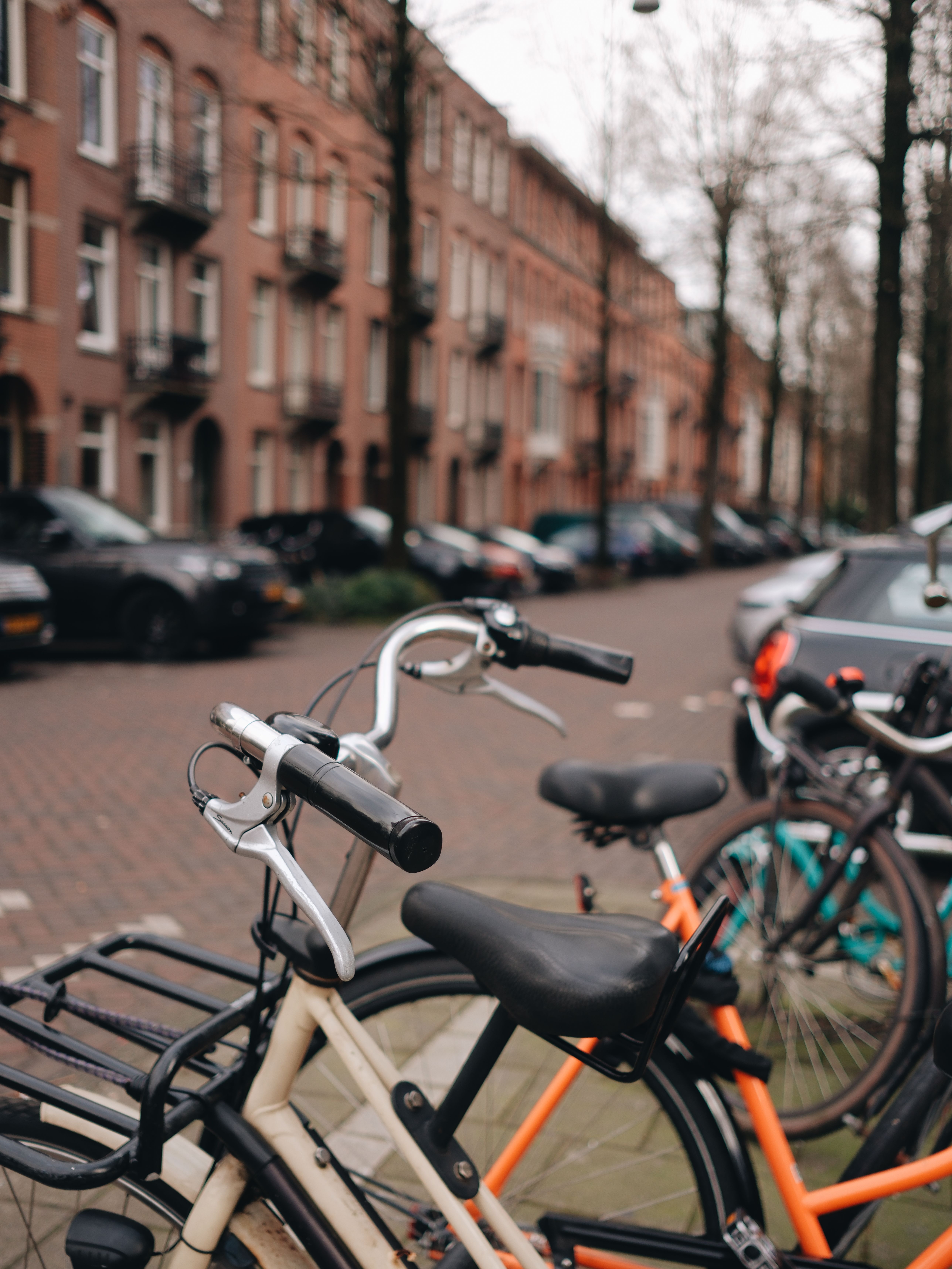 A tranquil Amsterdam street scene with parked bicycles along a tree-lined avenue, showcasing urban life in the Netherlands.