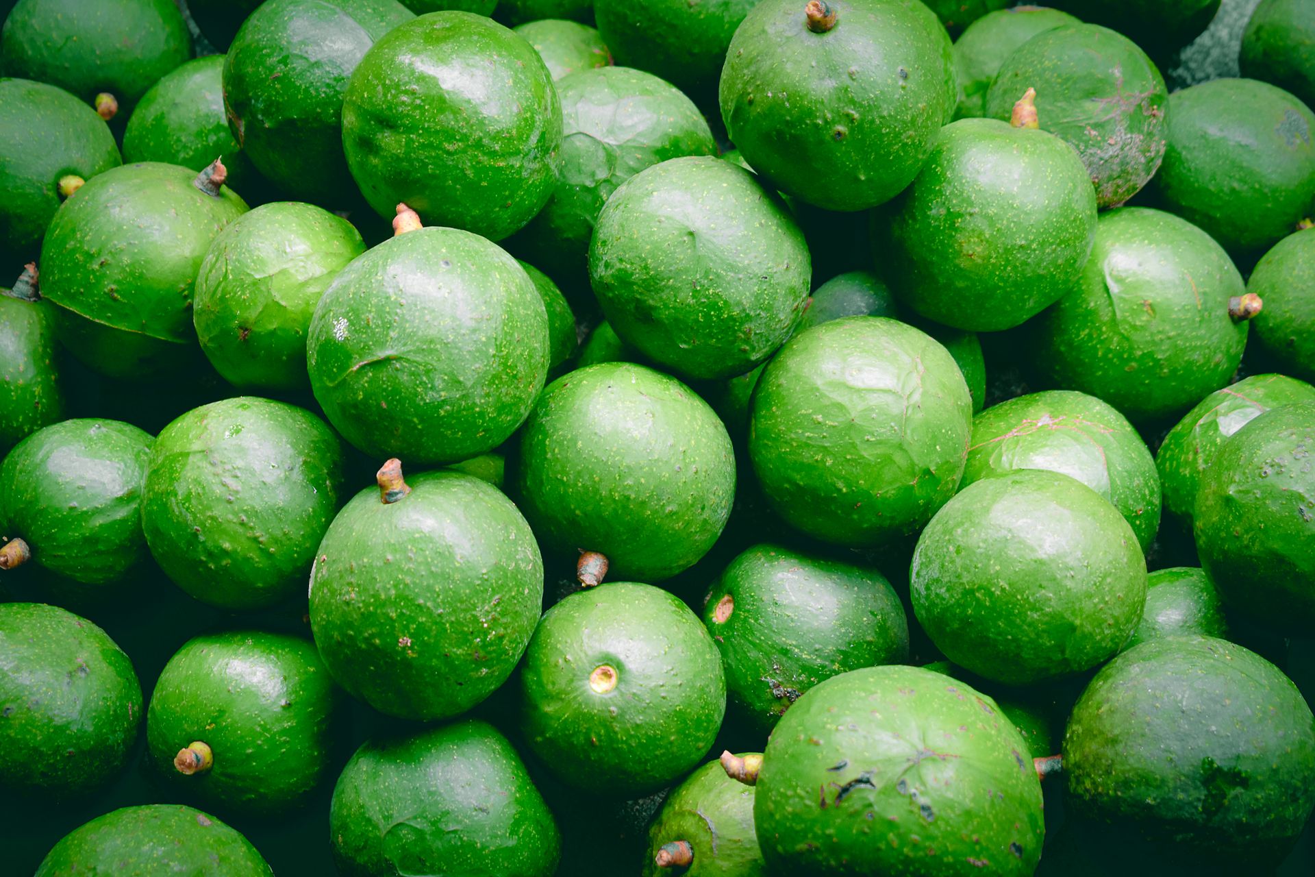 Close-up of fresh green avocados at a market in Madulsima, Sri Lanka, showcasing their vibrant color and organic texture.