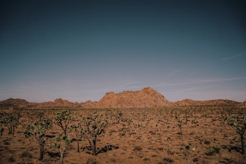 Landscape of a Desert and Hills under Blue Sky 