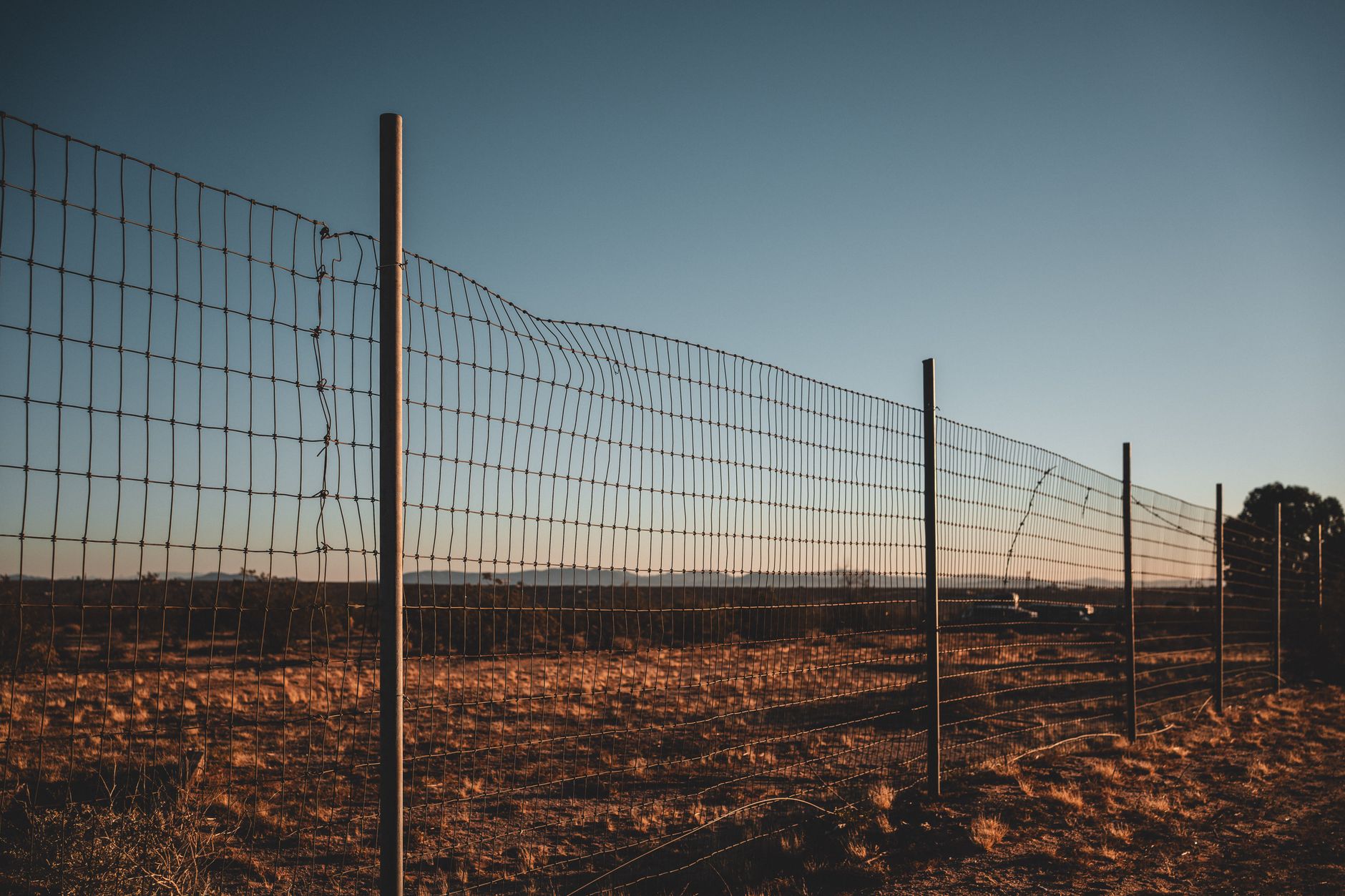 BIA Appeal After Immigration Judge Denial