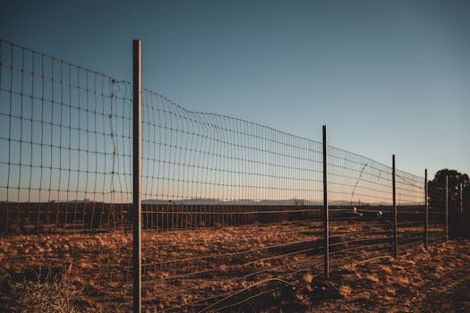 A rural wire fence stretches across a golden field under a clear sky at sunset.