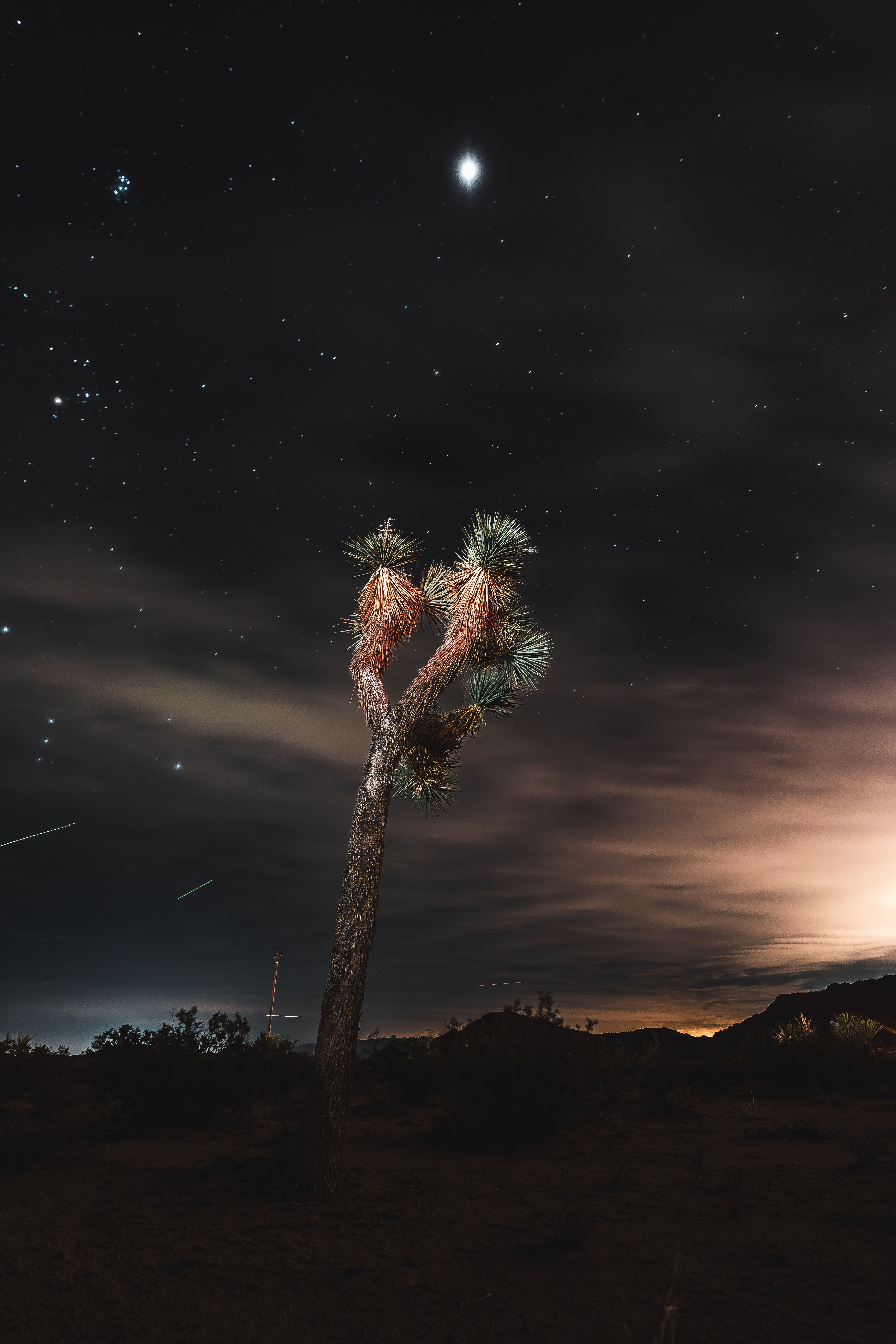 Photo of a Desert under a Starry Night Sky · Free Stock Photo