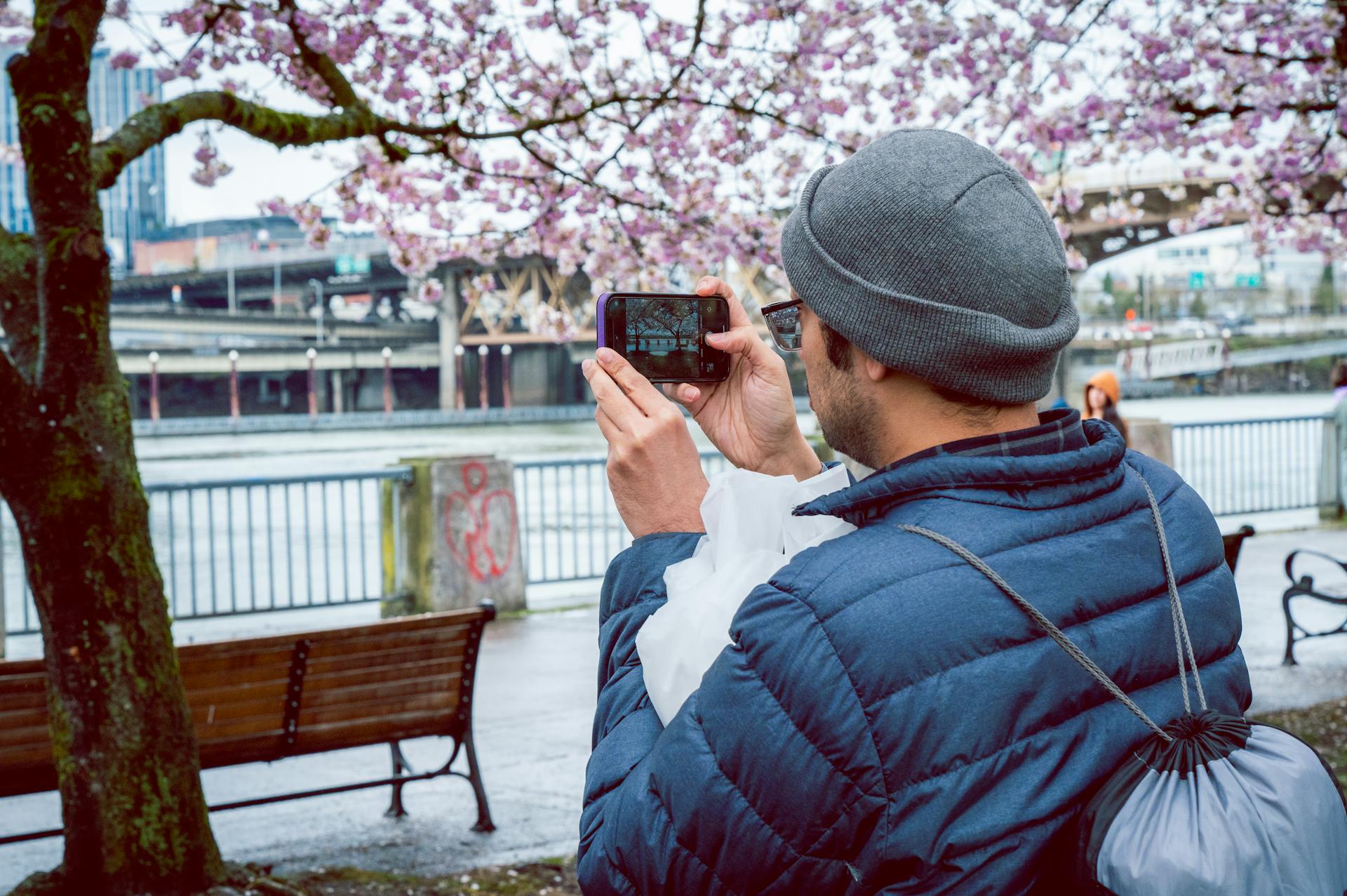 A man photographs cherry blossoms in a Portland park with his smartphone, symbolizing springtime.