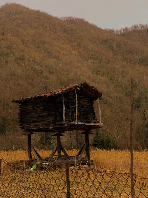 A small wooden cabin in the mountains