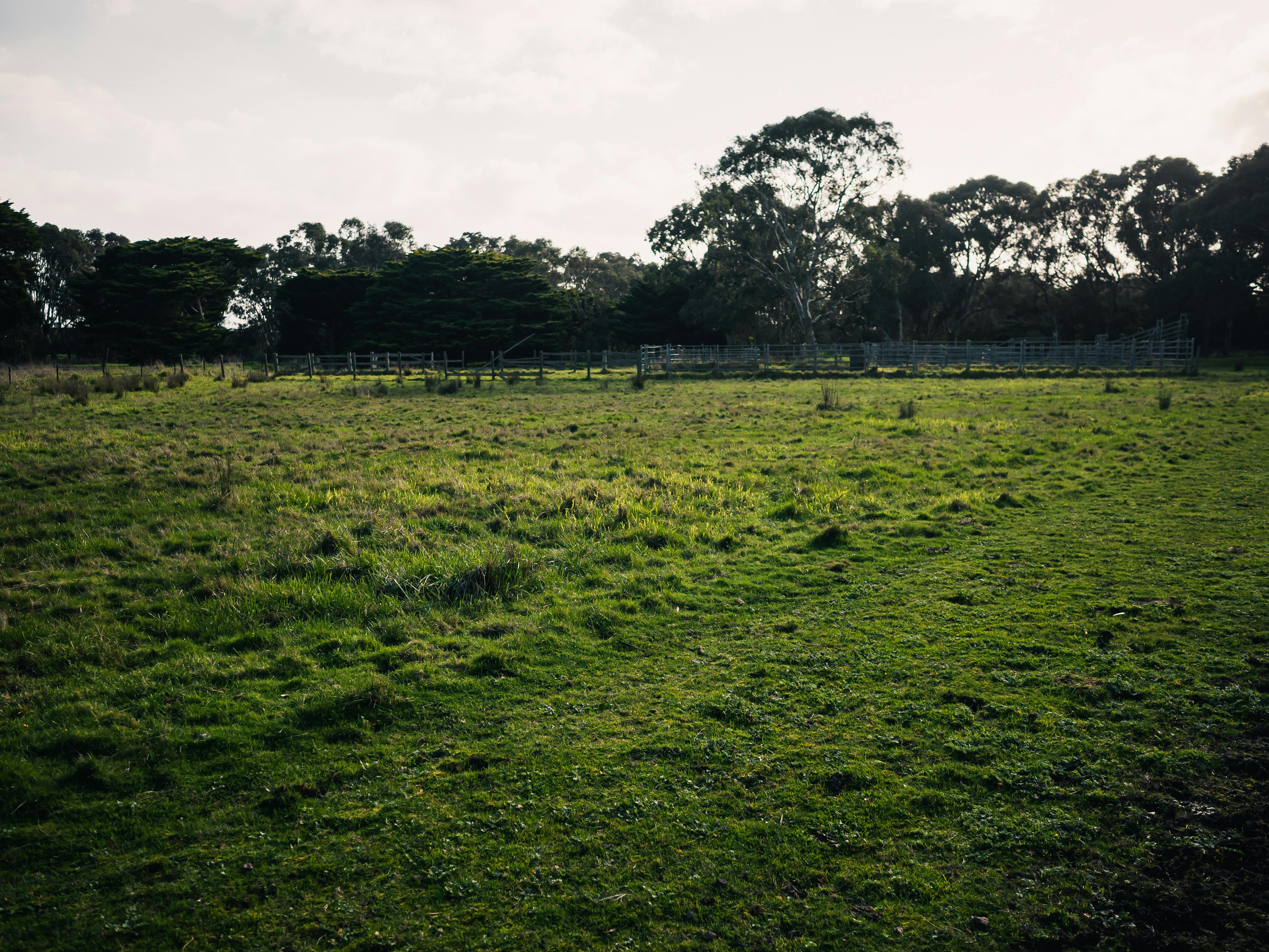 Pastures New
