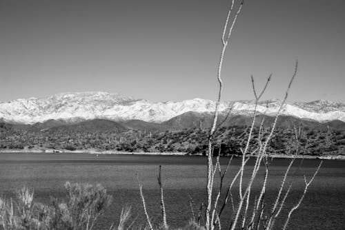 Free stock photo of arizona, cactus snow, destination