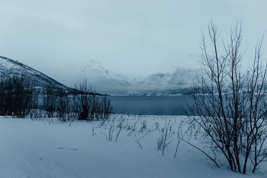 Stunning winter scene in Laksvatn, Norway, with snow-covered terrain and serene lake.