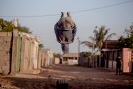 A young man performs a backflip over a tire on a street in Maputo, Mozambique.