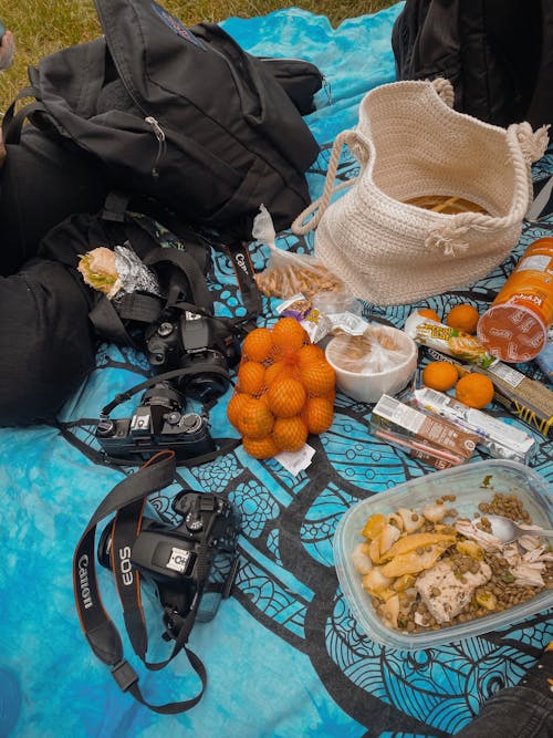 A picnic blanket with food and camera equipment