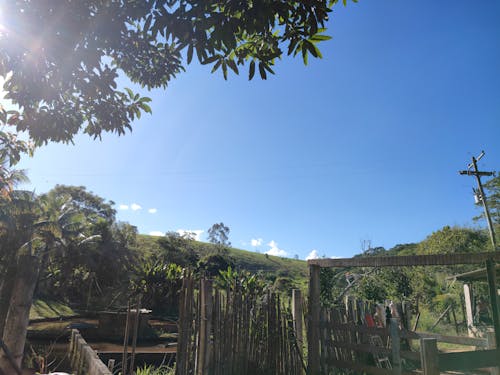 Foto profissional grátis de animal da fazenda, céu azul, chácara