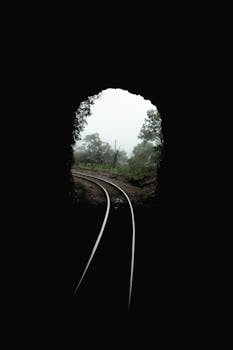 从火车隧道内，可以欣赏到宁静的景色，俯瞰那被大自然包围的薄雾铁轨