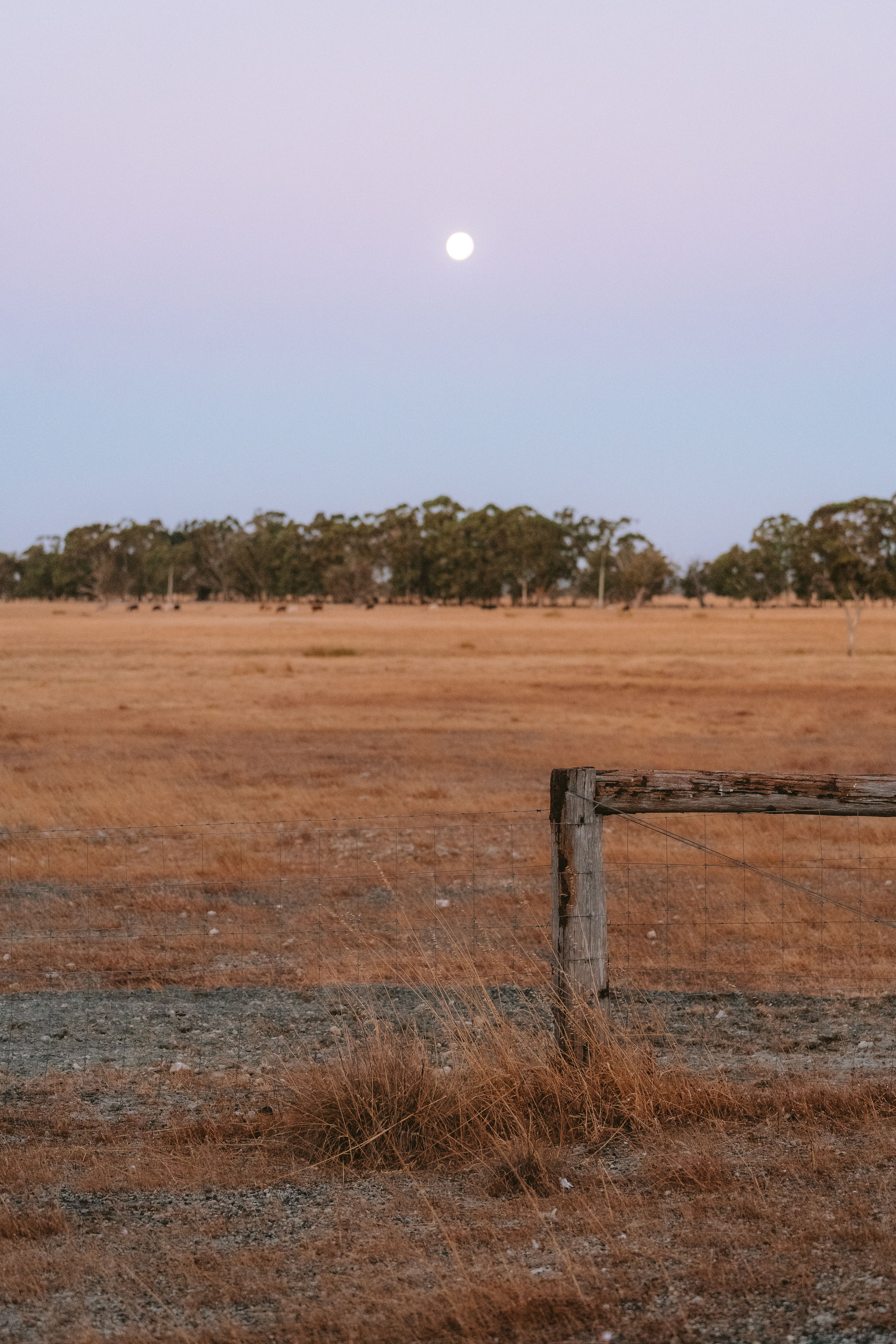 Wooden Fence on Grassland · Free Stock Photo