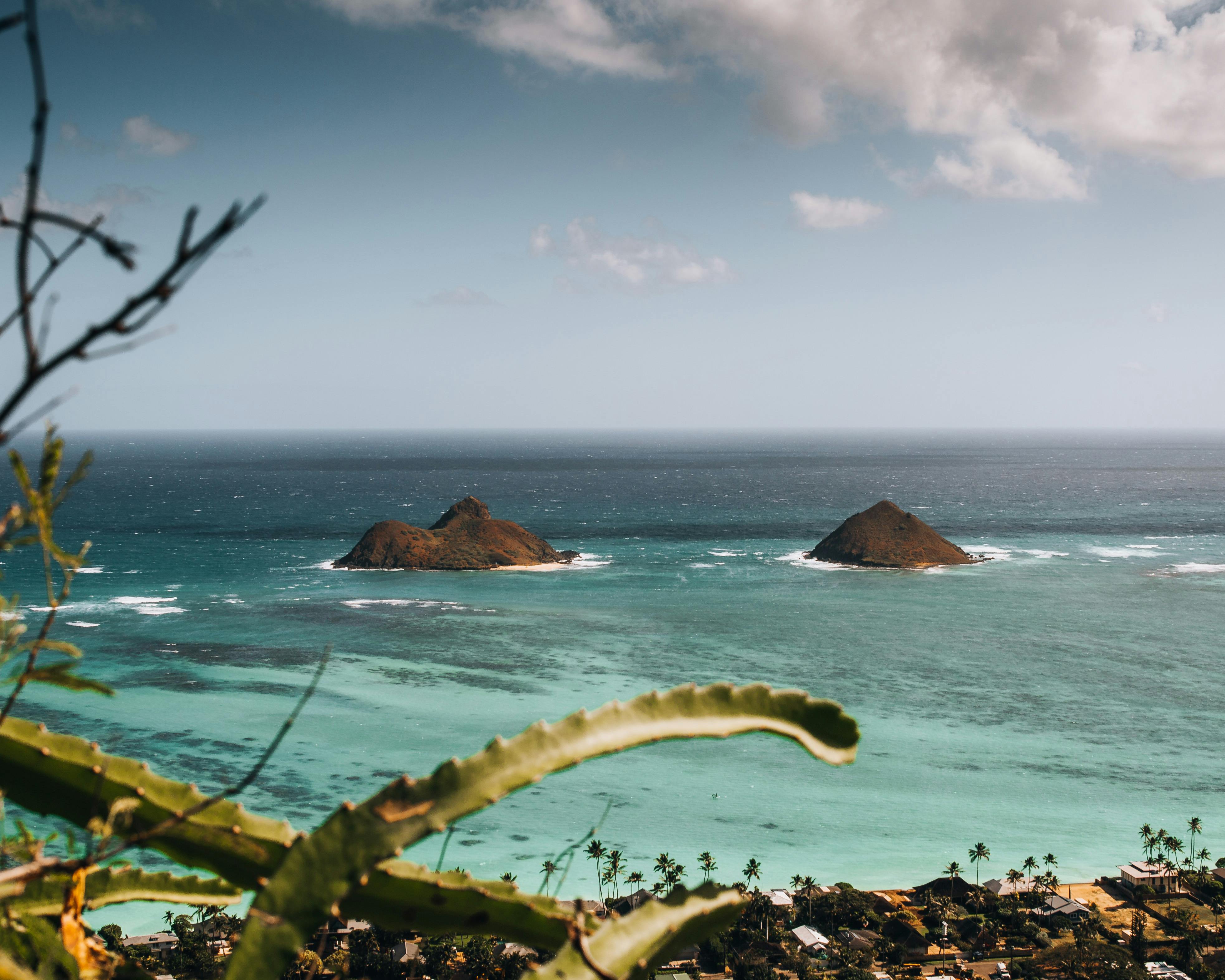 Hawaii Island Seed Bank helps build climate resilience - Hawaii Tribune — Photo by Alex O'Neal on Pexels