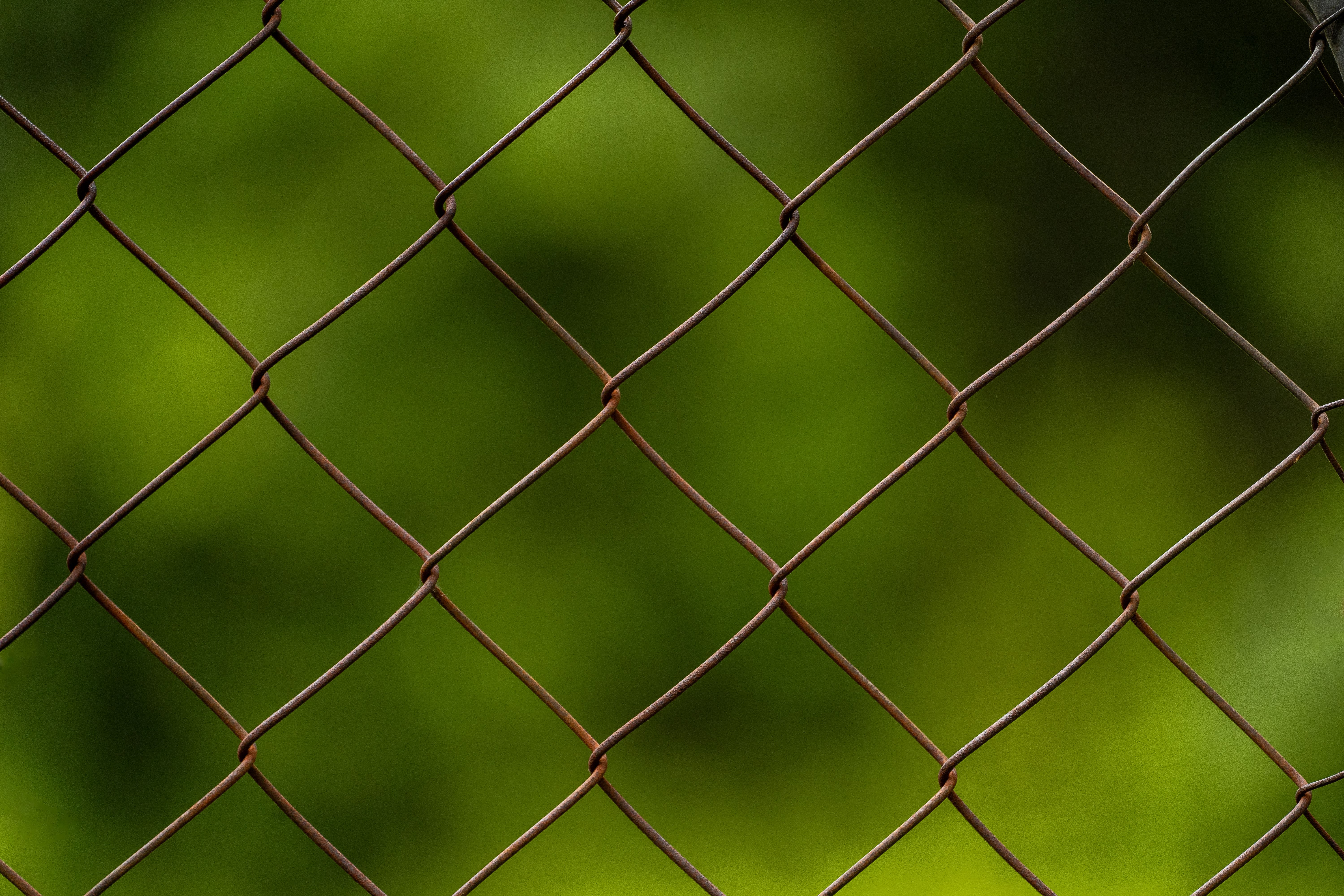 A close-up of a rusty chain link fence with a green blurred background in Brisbane.