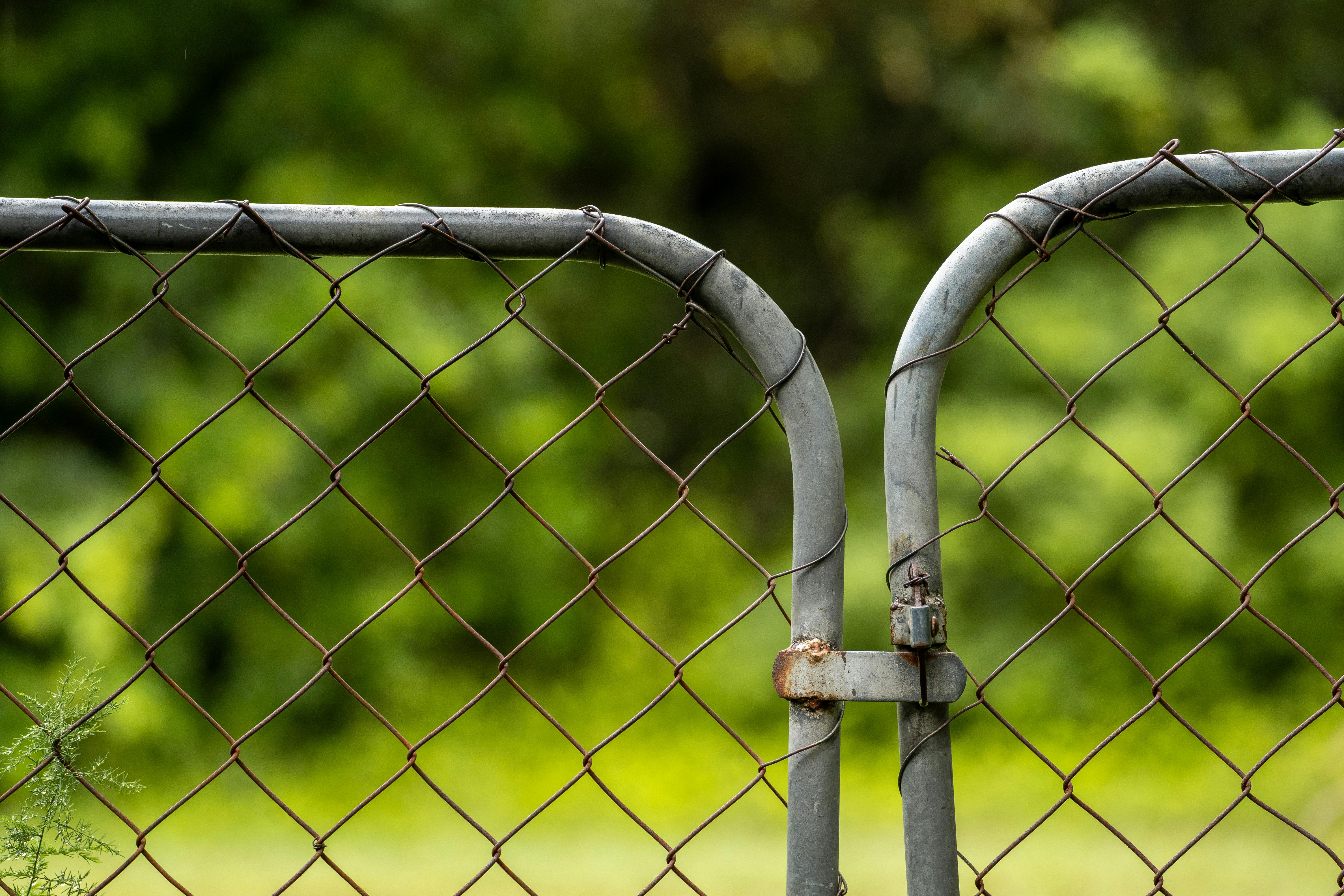 Close-up of a worn chain-link gate against a lush green background in Brisbane, Australia.
