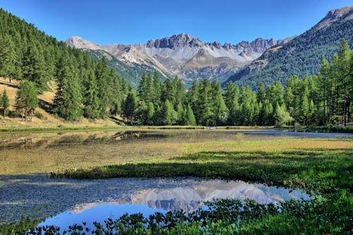 A mountain lake surrounded by green grass and trees