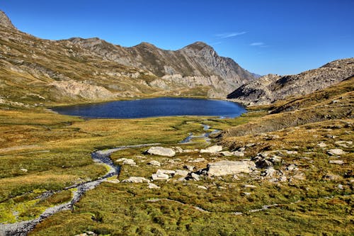Imagine de stoc gratuită din Alpi, curent, iarbă