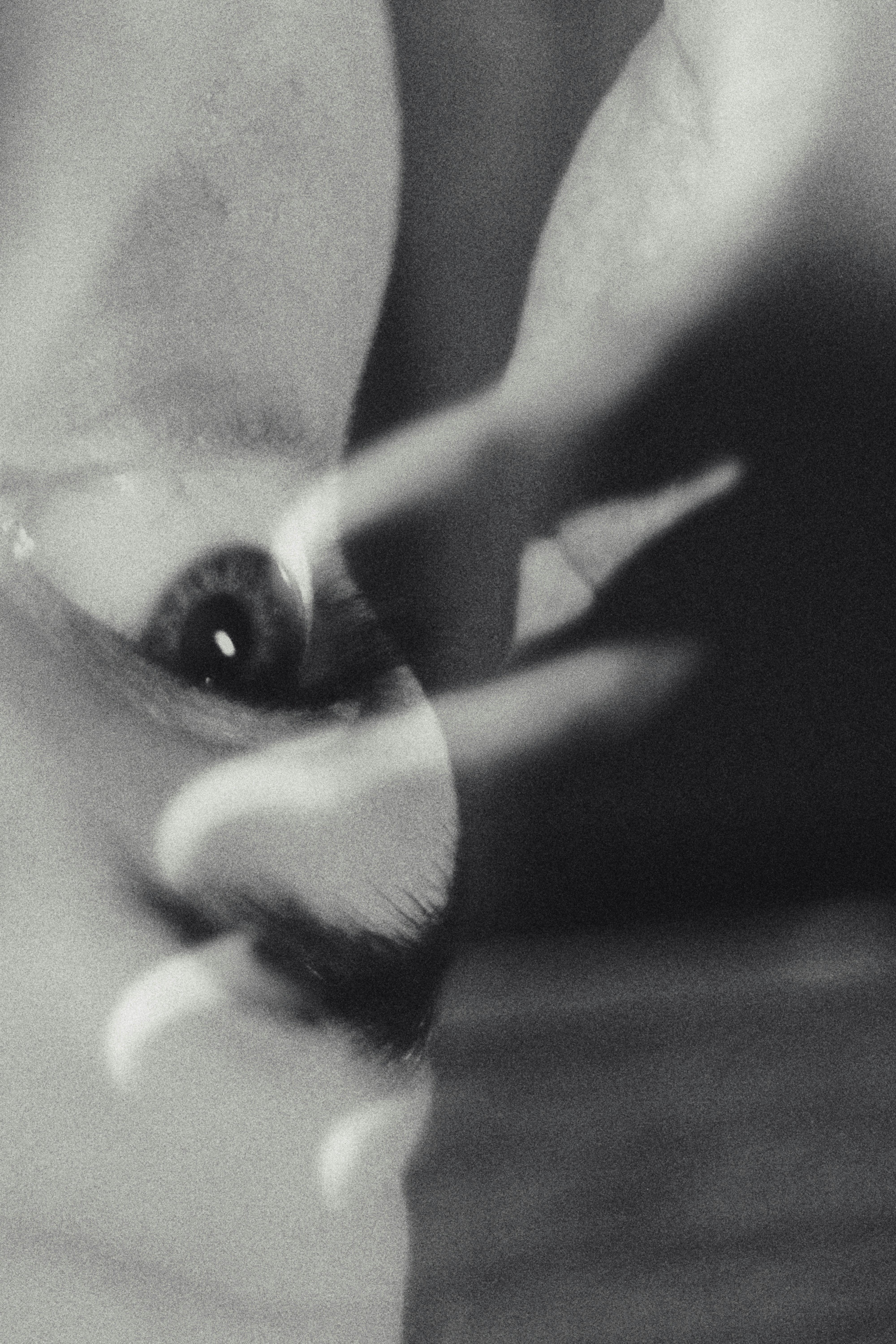 Artistic black and white abstract image with eye reflection and blurred elements.