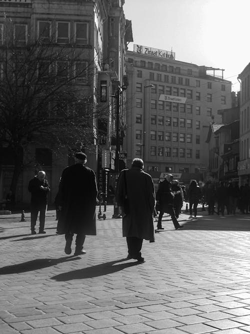 Immagine gratuita di anziano, bianco e nero, camminando