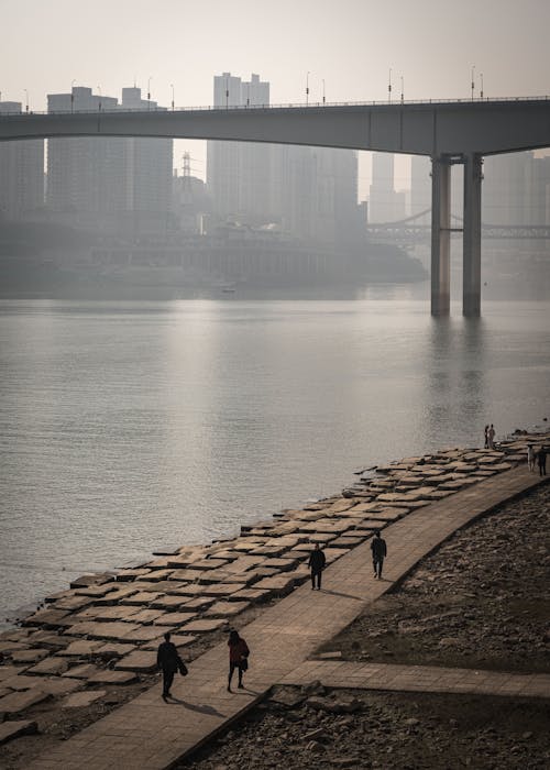 Foto d'estoc gratuïta de arquitectura moderna, chongqing, ciutat