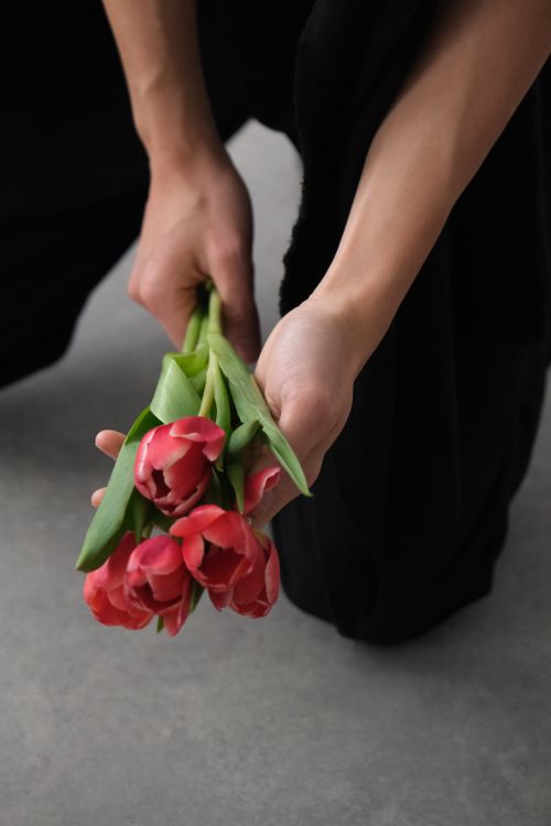 Free A close-up shot of a man holding a bouquet of vibrant pink tulips, emphasizing simplicity and elegance. Stock Photo