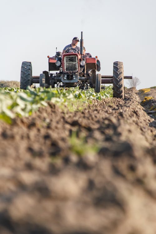 Безкоштовне стокове фото на тему «traktor, важка робота, врожаї»