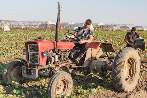 Безкоштовне стокове фото на тему «traktor, важка робота, врожаї»