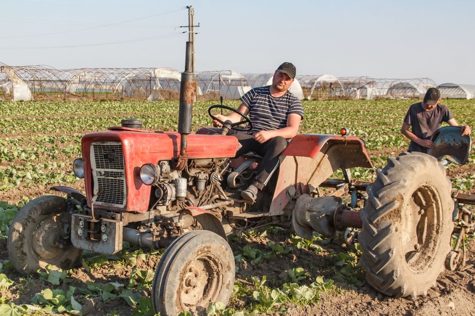 Antreprenori din Dolj care au transformat agricultura ecologică într-un business de export