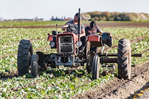Безкоштовне стокове фото на тему «traktor, агрономія, важка робота»
