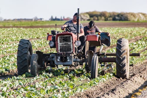 Darmowe zdjęcie z galerii z agrarny, agronomia, ciągnik