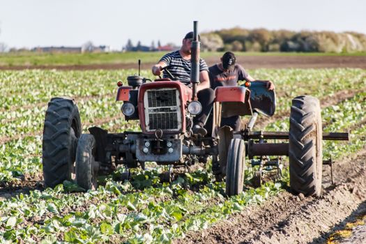 Two farmers working on a tractor in a lush green field during summer.
