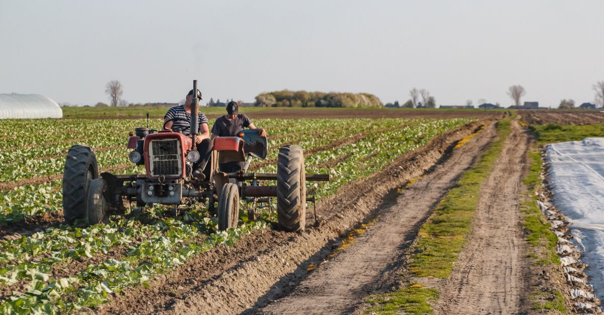 Las 15 revoluciones agrícolas que sostuvieron a la humanidad Las 15 revoluciones agrícolas que sostuvieron a la humanidad