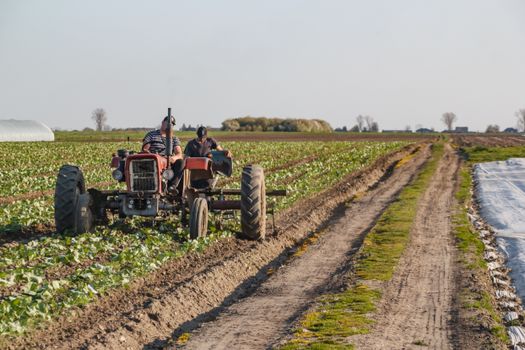 Landwirtschaft