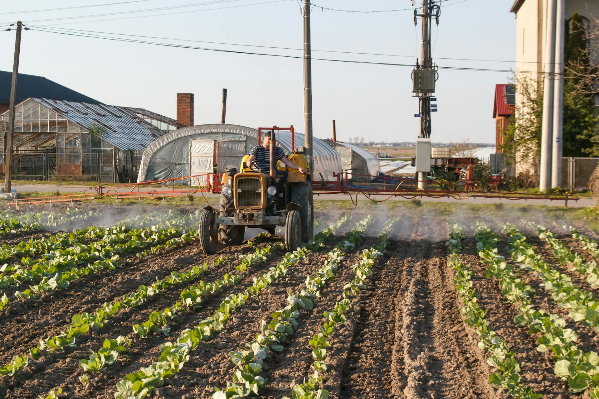 A farmer uses a tractor to spray crops in a rural agricultural field near greenhouses.