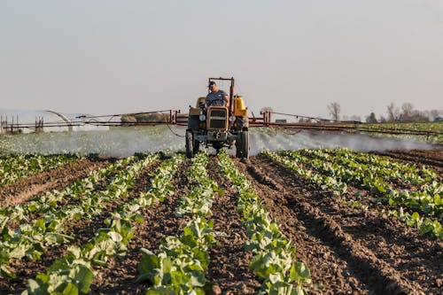 Fotobanka s bezplatnými fotkami na tému dedinský, farma, farmár