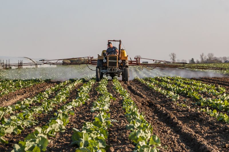 Pulverizadora aplicando sobre un cultivo en hileras