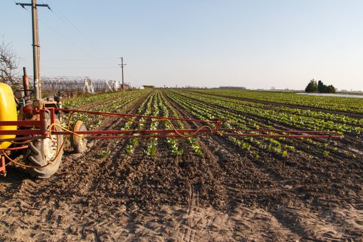A tractor working on a vast farmland with rows of crops under a clear blue sky.